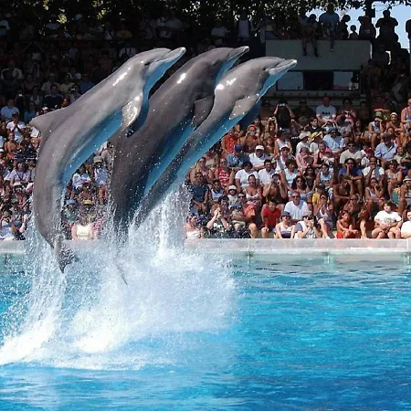 Luminoso Urb. Quinta Palmeiras Διαμέρισμα