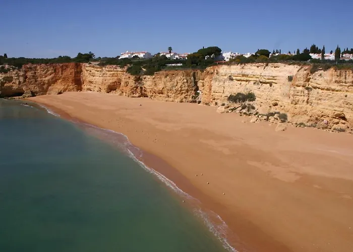 Luminoso Urb. Quinta Palmeiras