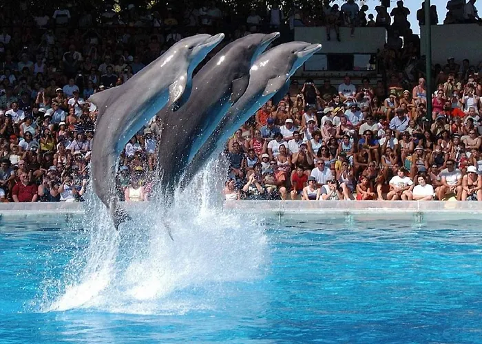 Luminoso Urb. Quinta Palmeiras Διαμέρισμα